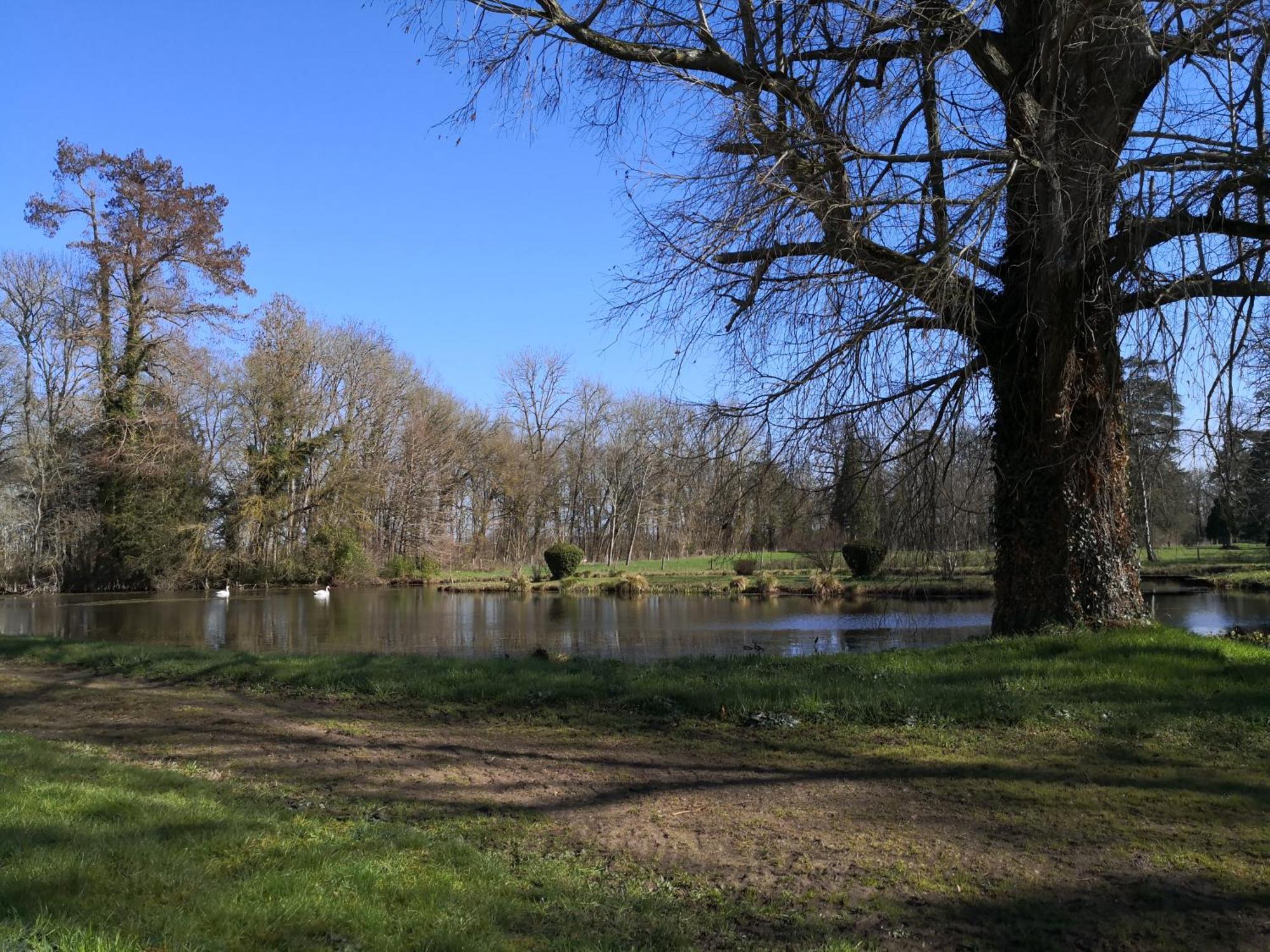 Maison La Demi-Lune Boulleret Zewnętrze zdjęcie